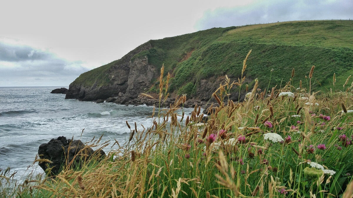 Cliffs of Atlantic ocean, 🇪🇸 Spain
