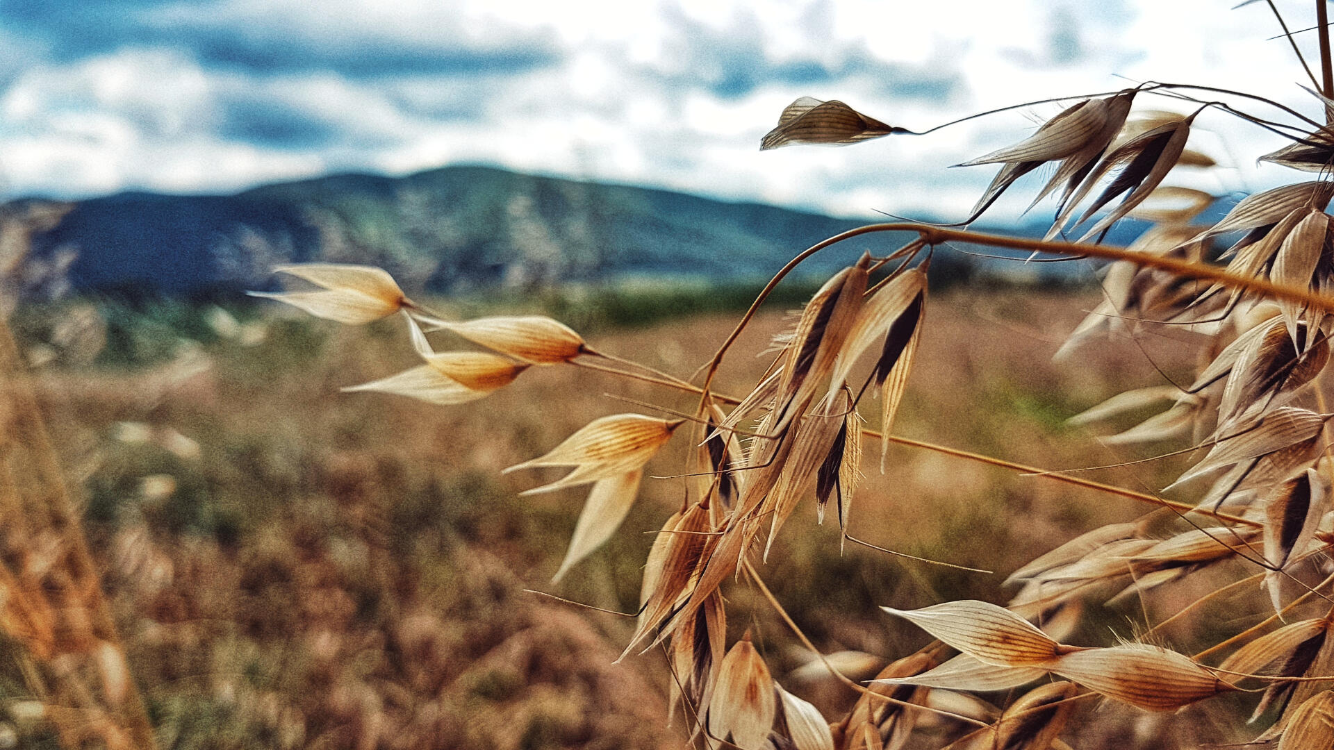 Reminds me of Russia